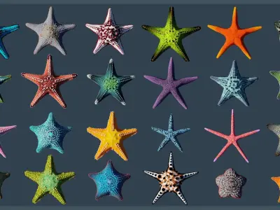Starfish Mega Pack Low-poly 3D model