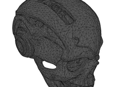 Cybernetic Skull with Chrome Plating 3D model