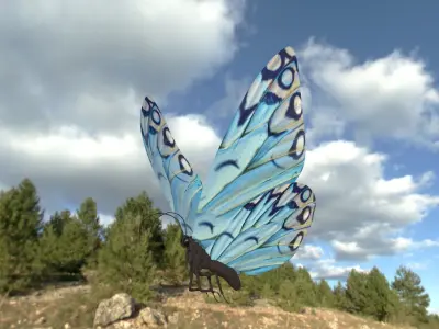 BUTTERFLY Low-poly 3D model order