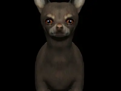 Chihuahua Dog Low-poly 3D model