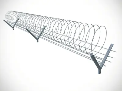 concertina coil 3D model