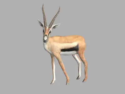 Gazelle with long horns Low-poly 3D model