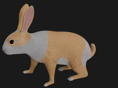 White orange bunny rabbit low poly rigged Low-poly 3D model