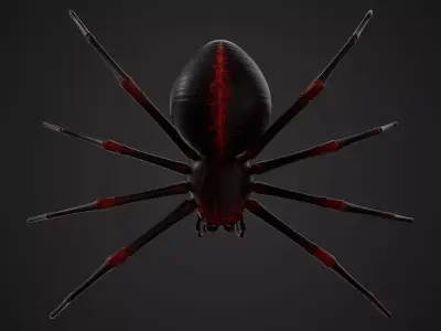 Spider with 8K PBR Textures 3D model