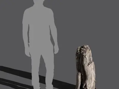  Medium Cut Decaying Bare Stump Model 