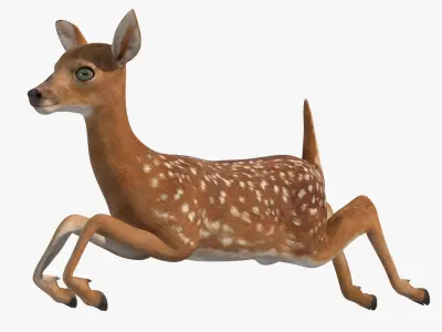  Leaping White-Tailed Fawn Deer 