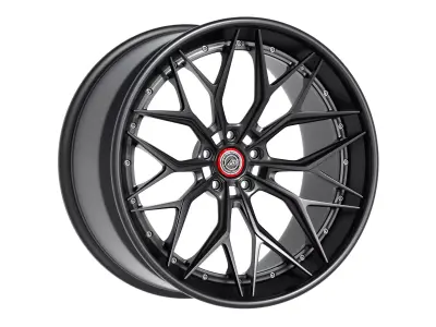 AL13 Carbon Series CF-R80 Duoblock Wheel 3D model