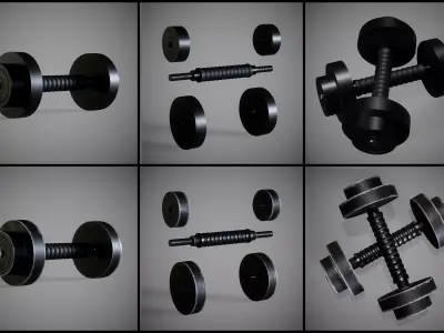 Adjustable Dumbbell New and Old 3D model