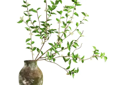 Blooming Twig Arrangement in Antique Pot Low-poly 3D model