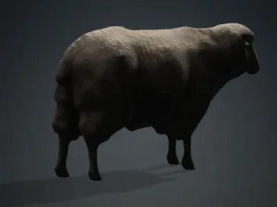 Animal Ram Free 3D model