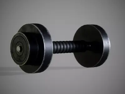 Adjustable Dumbbell New and Old 3D model