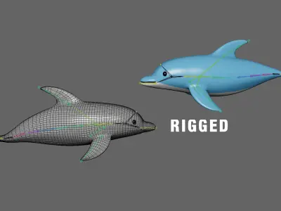 Low Poly - Cartoon Dolphin 1 Rigged Low-poly 3D model