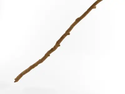 Wooden Stick Branch Staff Low Poly Game Ready asset 3D model 2 Low-poly 3D model
