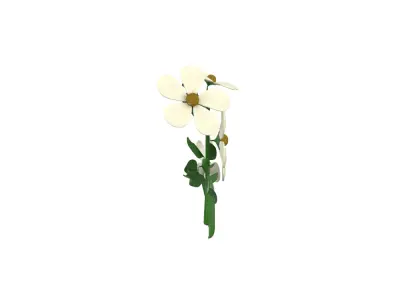 Plants Low-poly 3D model