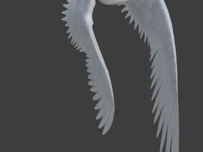 Arctic Tern Bird Game Ready Model Unreal Engine  3D model