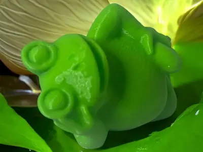 Frog cool 3D print model