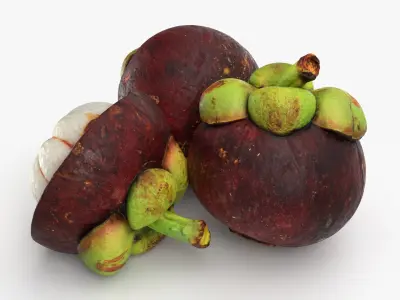 Mangosteen Fruit 3D model
