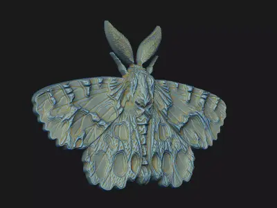 Moth dark-aesthetic macabre wall-art coin-design medallion 3D print model