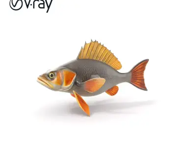 Realistic Fish Model Pack with Detailed Textures Low-poly 3D model