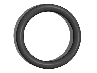 O Ring Vedabras 12196 3D model