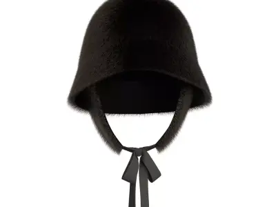 Fur Bucket 3D model