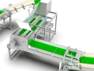 The 3D model of the Medicine Reel Diverting Conveyor Assembly 3D model