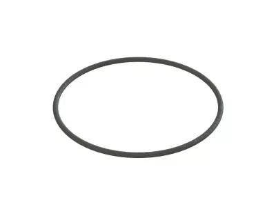 O Ring Vedabras 12317 3D model