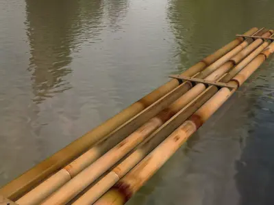 Bamboo Boat 3D model