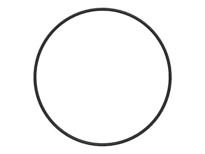 O Ring Vedabras 12200 3D model