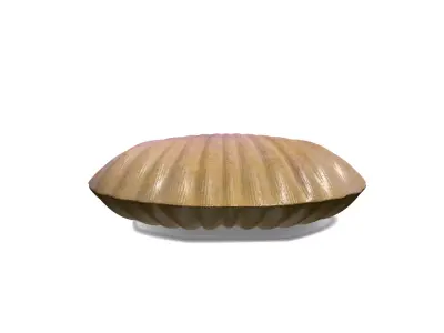 Oyster 3D Model shell 3D model