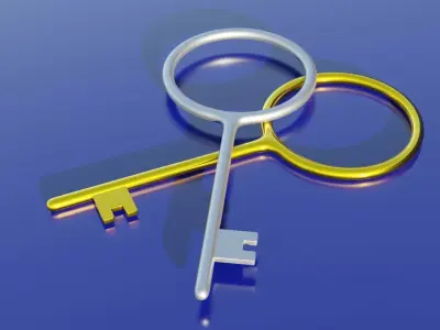 Padlock Key 3D model