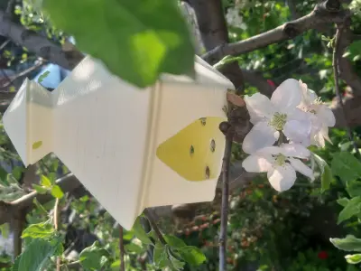 Birdhouse Smol Free 3D print model
