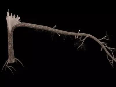 Realistic Snag Tree Low-poly 3D model purchase