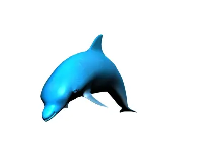 dolphin lowpoly 3D model buy