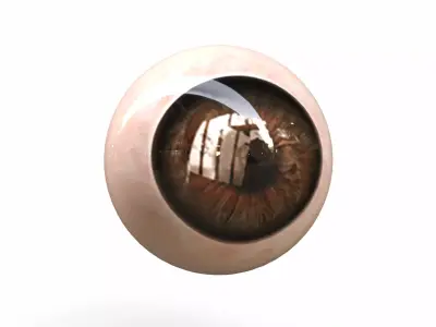 Human Eye Low-poly 3D model