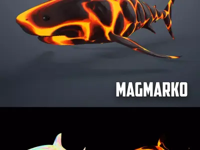 Shark Low-poly 3D model 6