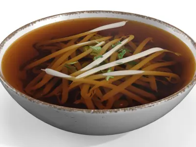 Broth with Mung Bean Sprouts 3D model