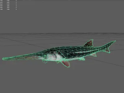 Sturgeon Low-poly 3D model buy