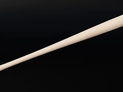 Baseball Bat 3D model