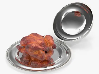  Cloche Cook with Roast Turkey 