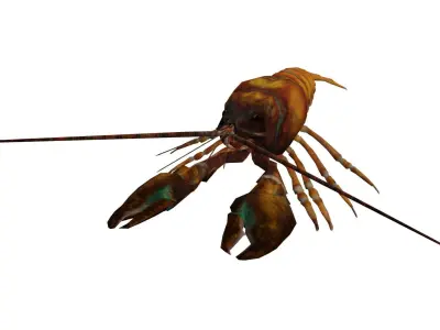 Crayfish Low-poly 3D model