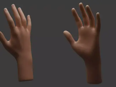 Realistic Hand Model 3D model