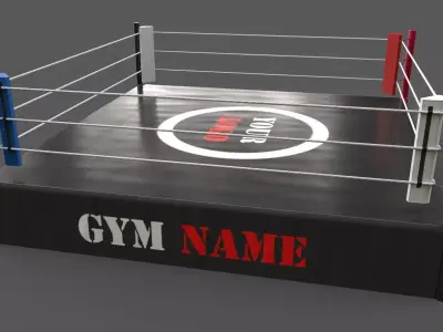 PBR Modular Professional Wrestling Rings 20ftx20ft Low-poly 3D model