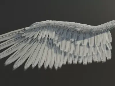 Wing Angels  Bird Low-poly 3D model