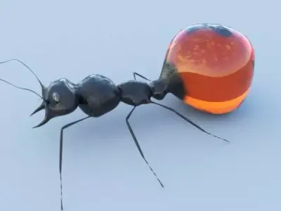 Honey Ant 3D model