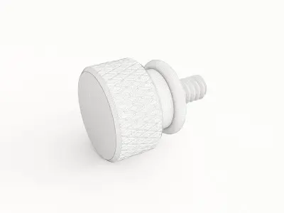 Screw 176 3D model