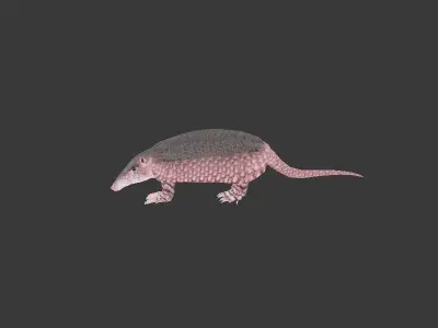 Giant Armadillo Low-poly 3D model