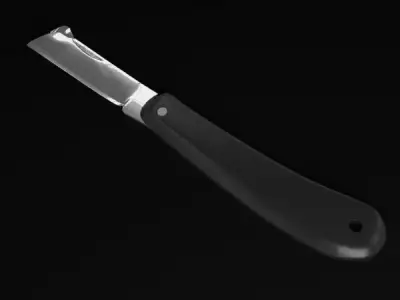 Budding knife Free 3D model