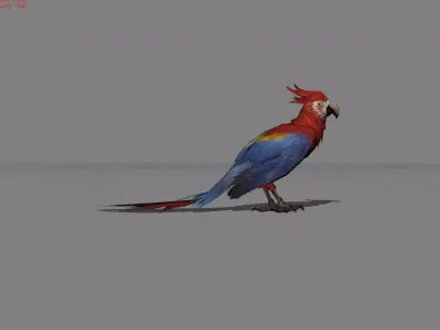 Parrot Red Bird Animal Low-poly 3D model