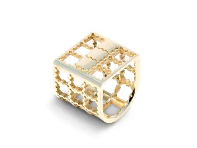 Fishing Cage Ring Free 3D print model